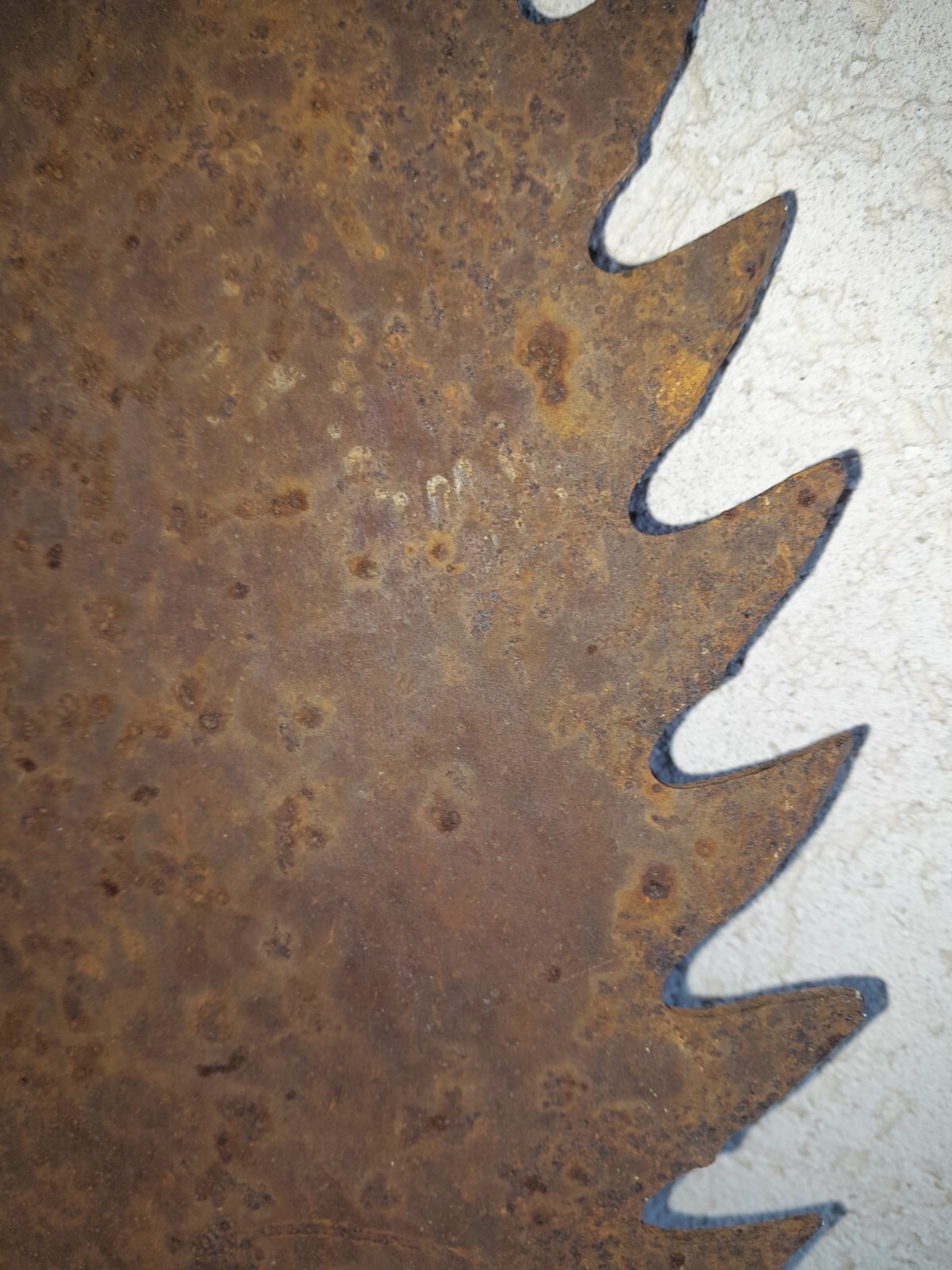 large sawmill blade