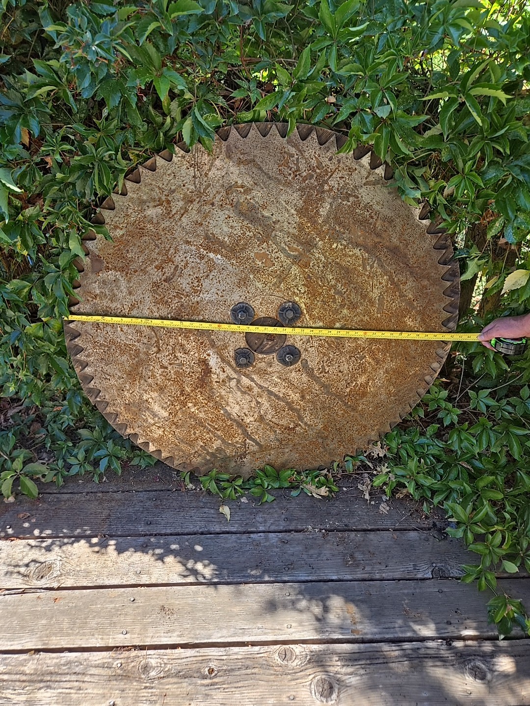 Antique 42″ Saw Mill Blade Circular Humbolt County California Redwoods
