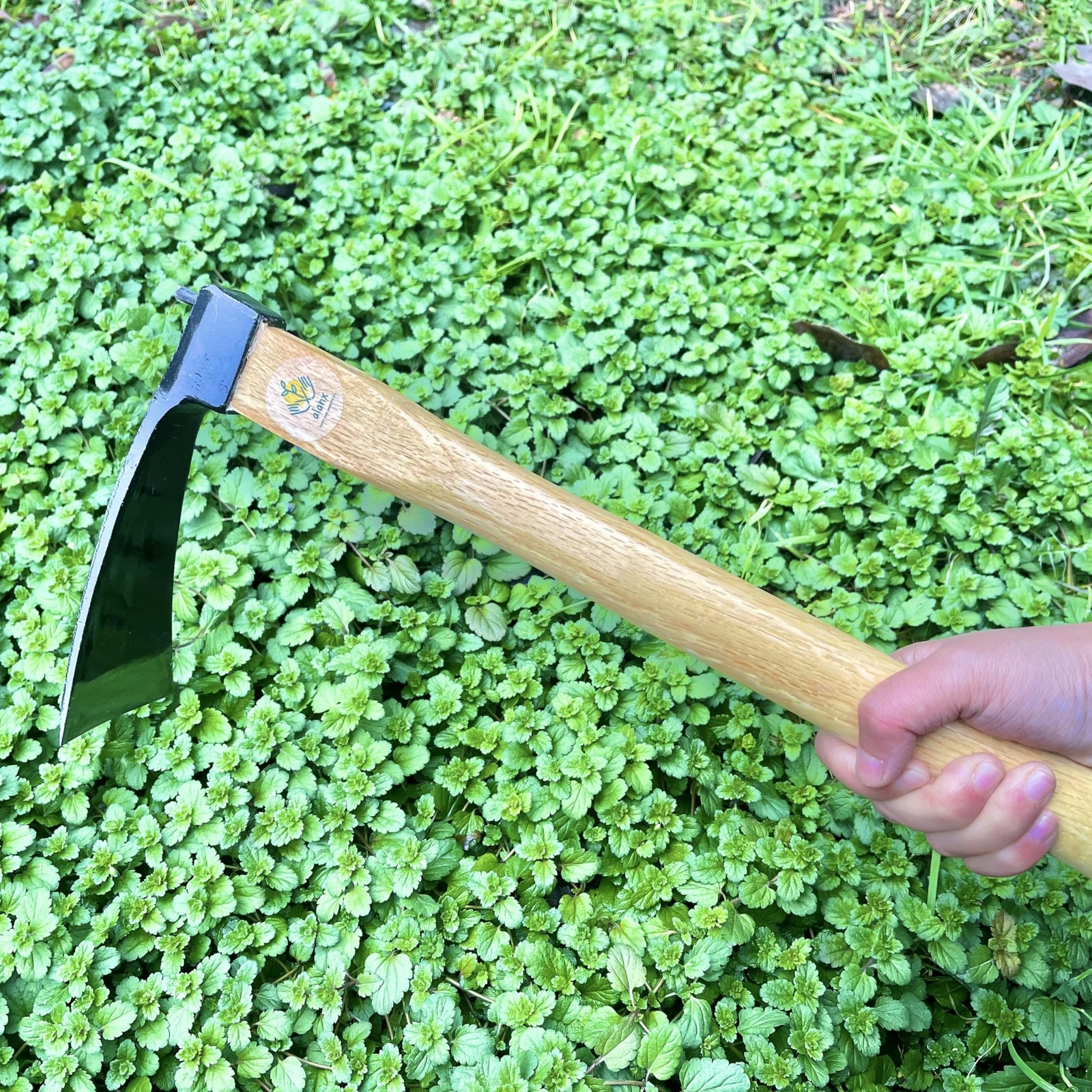 14 Inch Heavy Duty Wide Hoe, Japanese Carbon Steel with Oak Wooden Handle, Wi…