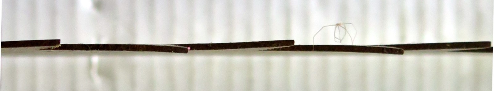 Rip saw Japanese Old Large Saw USA Seller OGA Vintage Woodworking tool NOKOGIRI