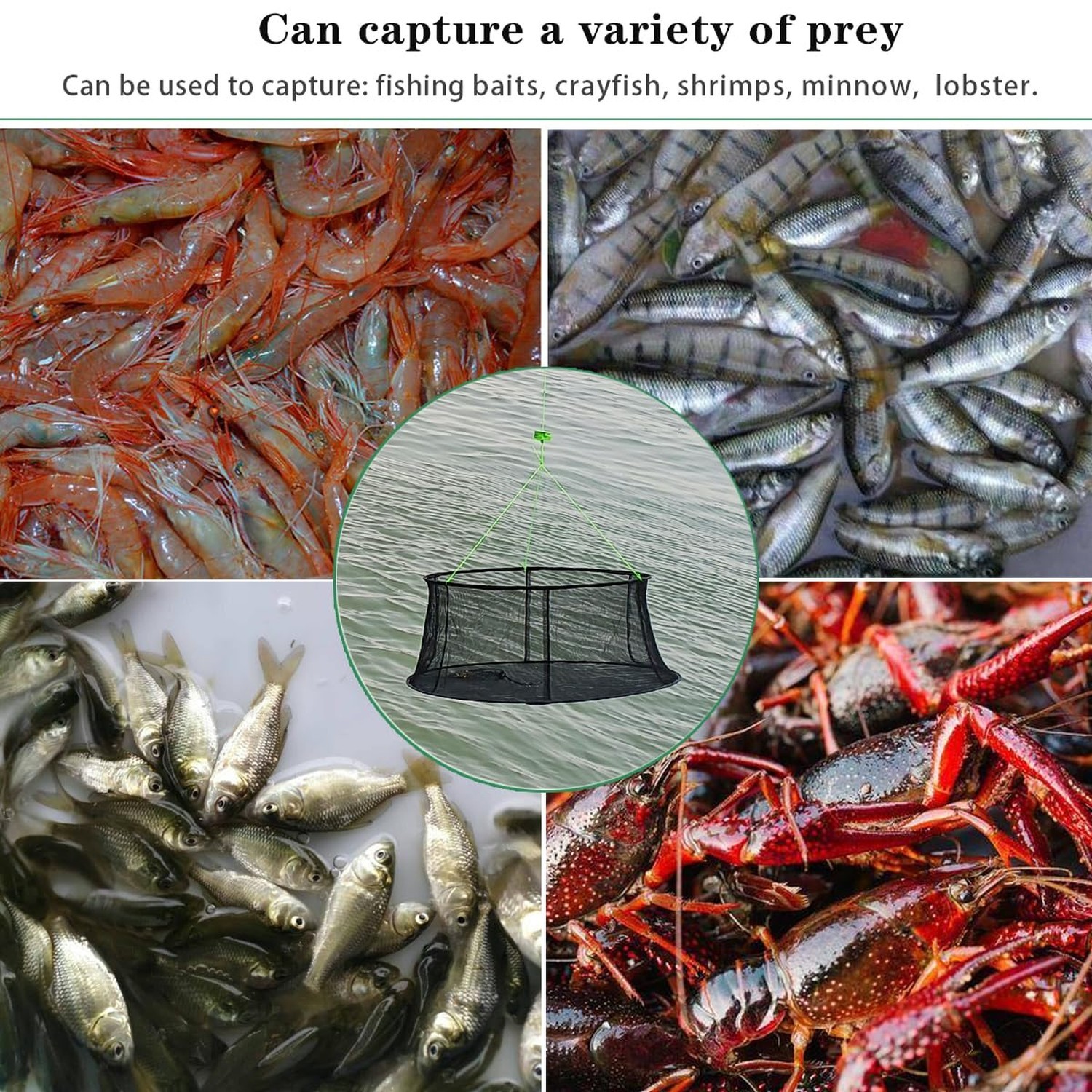 Drasry Fishing Net Trap for Bait Minnow Shrimp Crayfish Foldable Fish Crawdad…