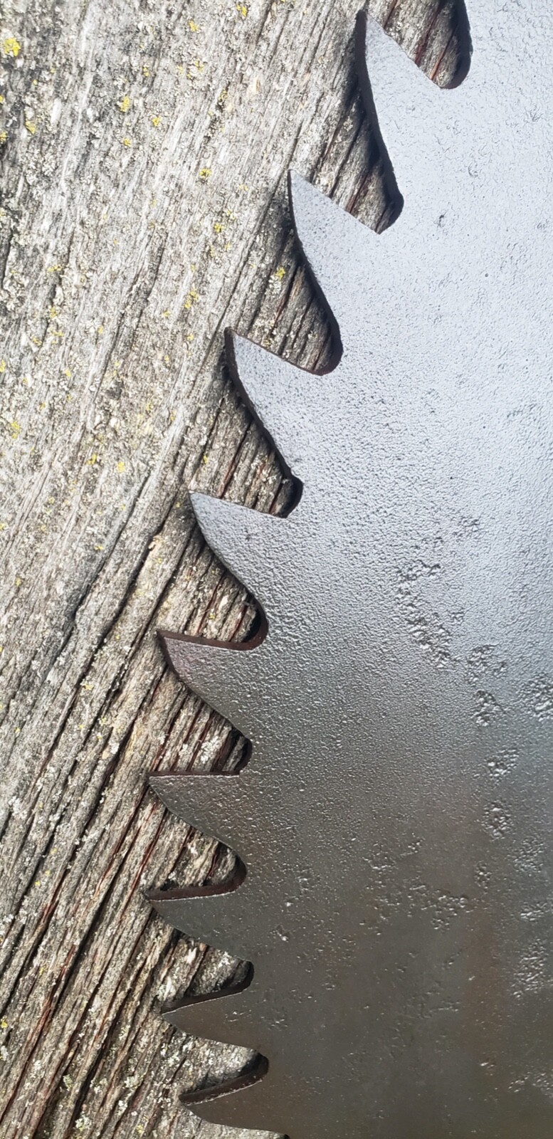 Antique Sawmill 29-In Saw Blade Sawmill Great Condition, light pitting.