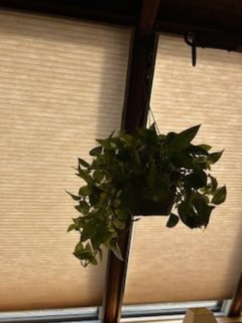 Self-Watering Retractable Plant Hooks – Perfect for Easy Access Garden Baskets