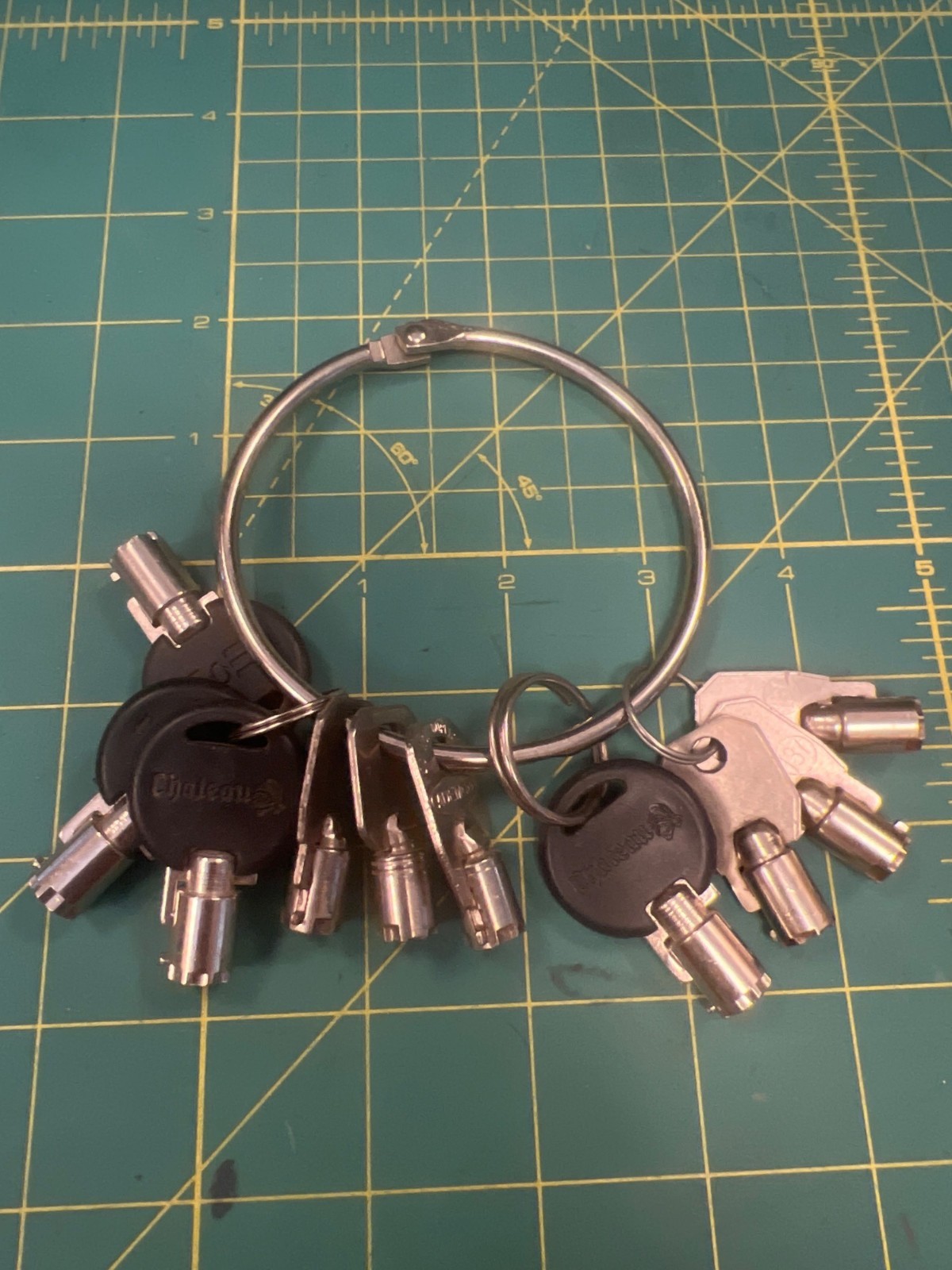 11 Vintage Tubular Keys On Steel Keyring EZ Chatean Ademco