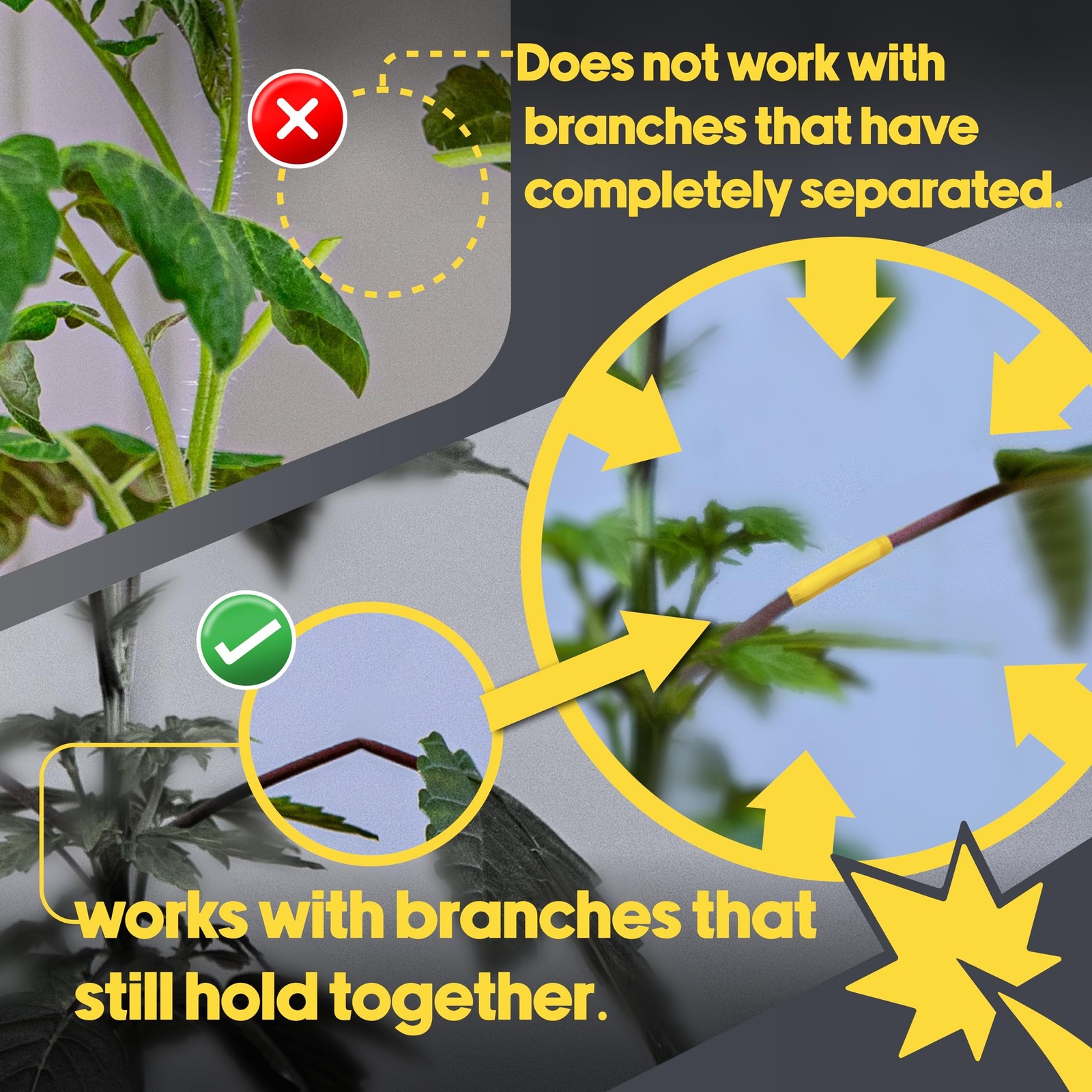 BudTape (90 ft) | Branch Repair Grafting Tape & Gardening Tape | Fix 300+ Bro…