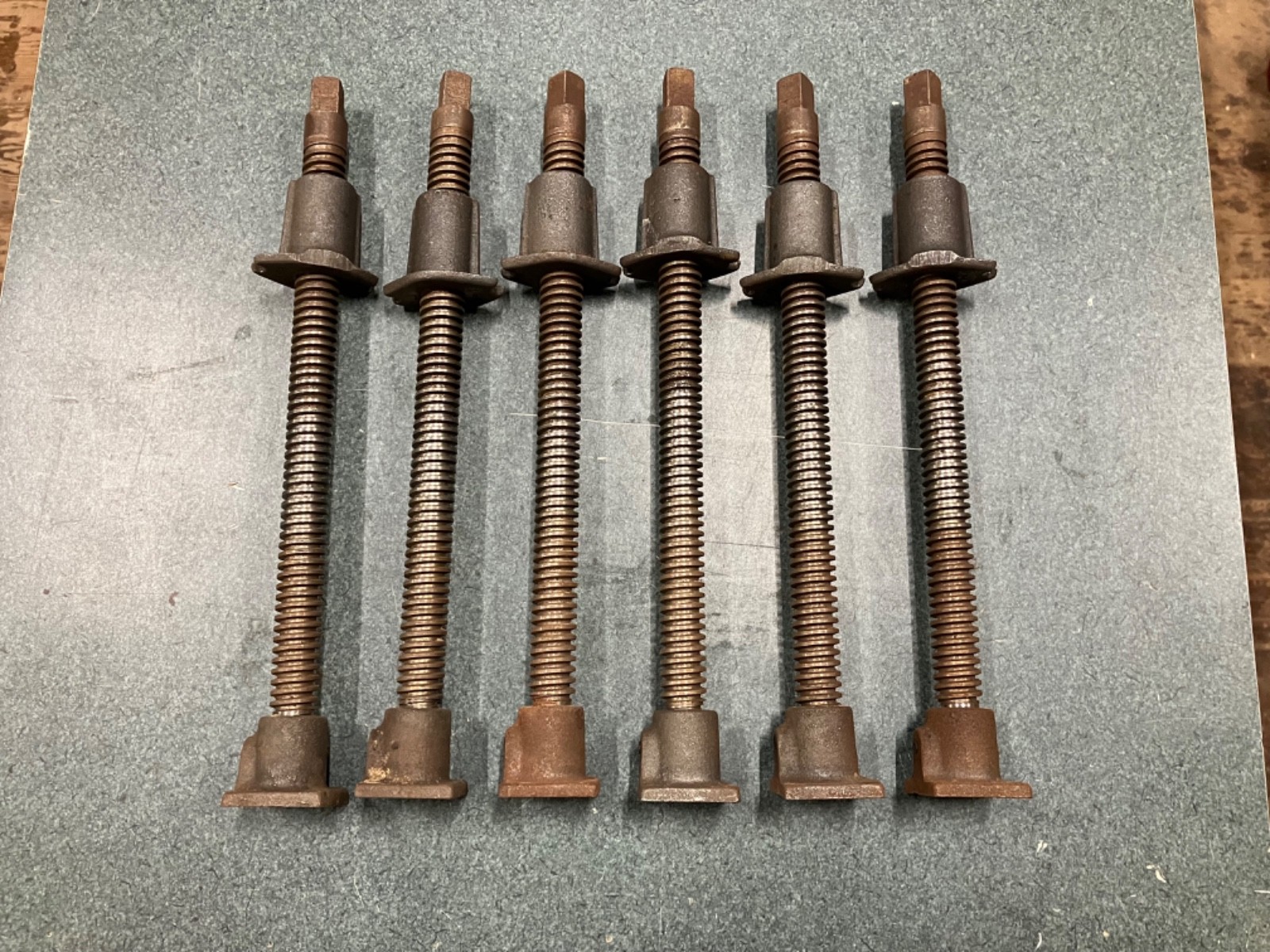 Wetzler Clamp 12″ Veneer Screws Set of 6 – 36 Total Available