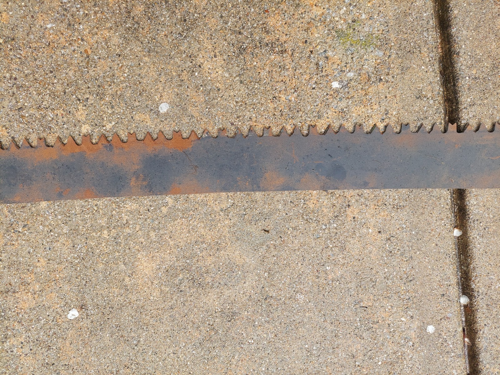 Barn Antique Hand Painted Two Man Crosscut Logging Saw 60″ Blade Log Tool Maine