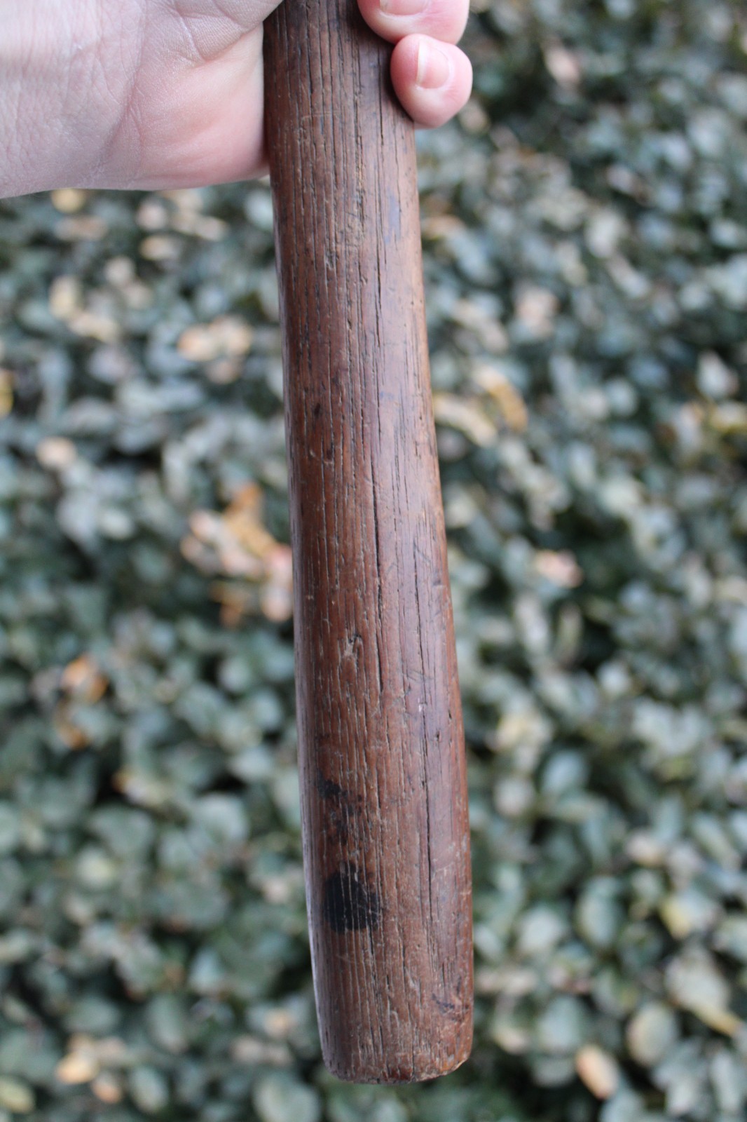 Antique 19th Century Pennsylvania Broad Axe / Hatchet & Handle (16″)