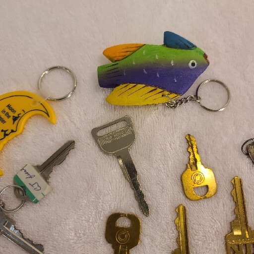 Vintage Mixed Lot Of 15+ Keys And Key Chains Of Various Sizes,Brands,Types,etc