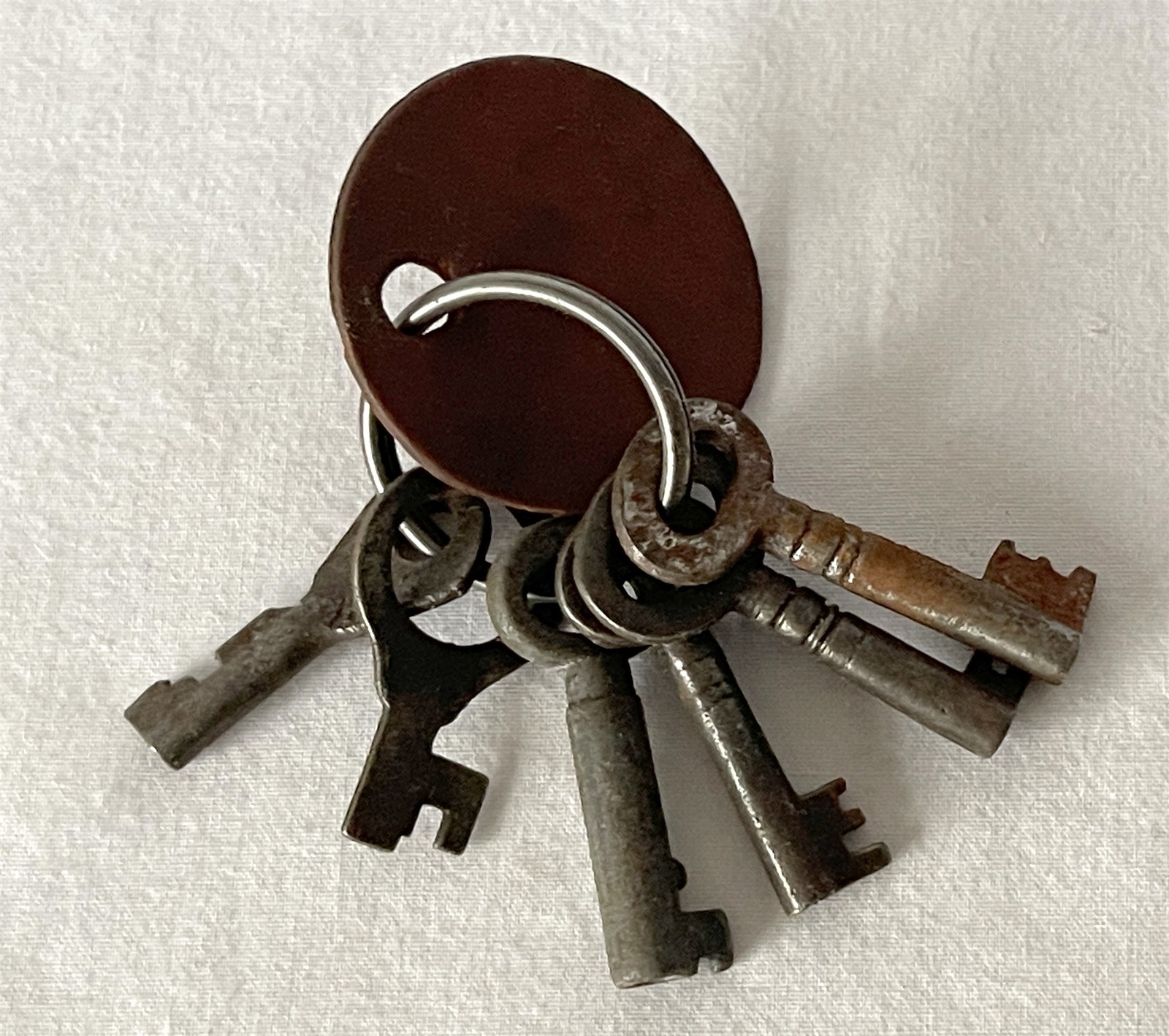 6 Vintage Rusted Mixed Size Keys With Ring & COE ERA D Wilson Tag #pE148