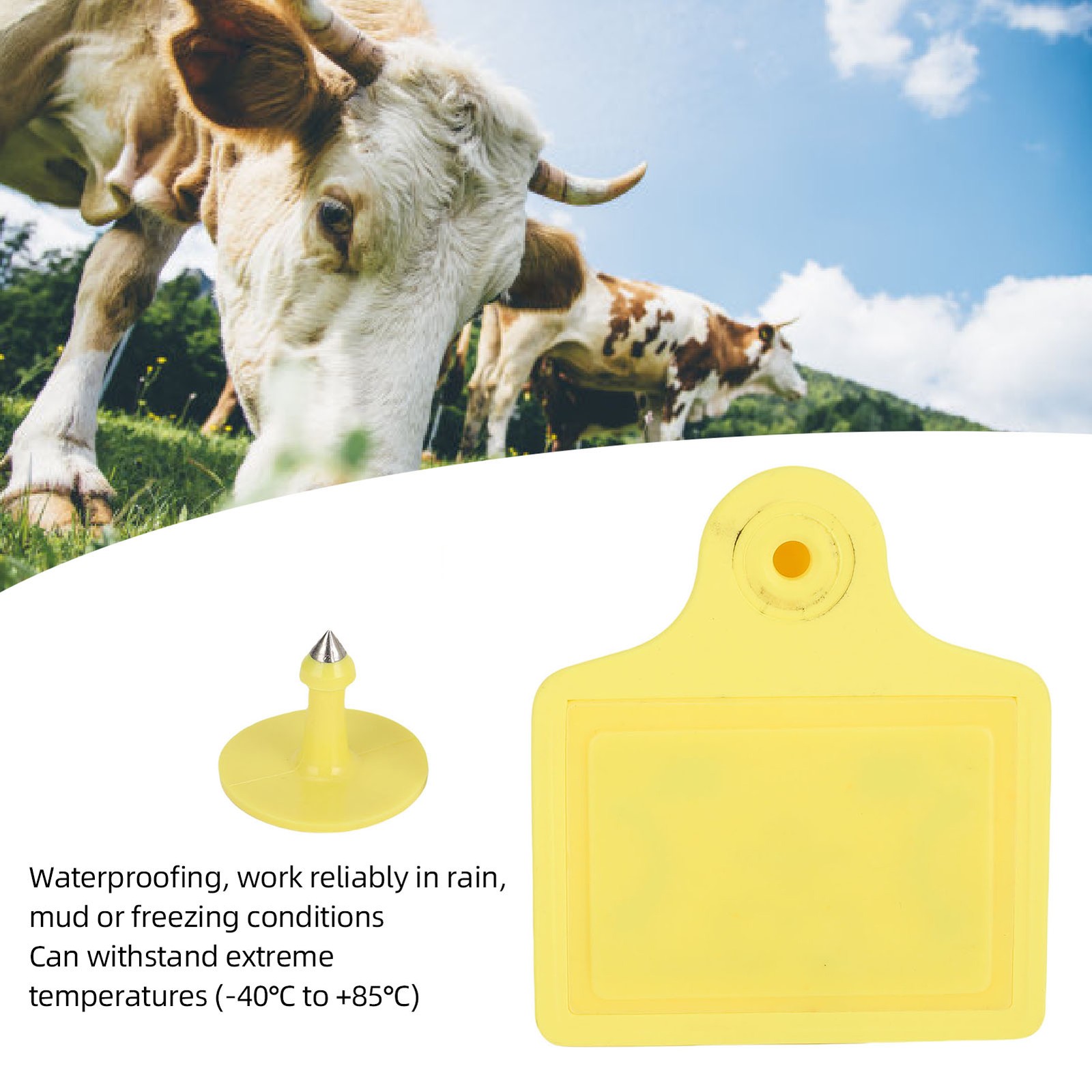 Animal Electronic Ear Tag 10 Pack Electronic Ear Tag For Pig Sheep Cattle For