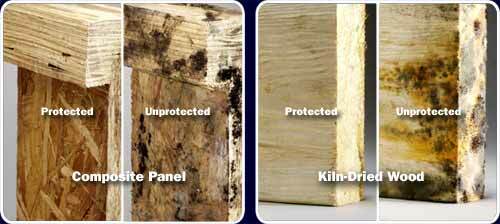 Woodlife® 111 Water Repellent Wood Preservative (Ready-to-Use)