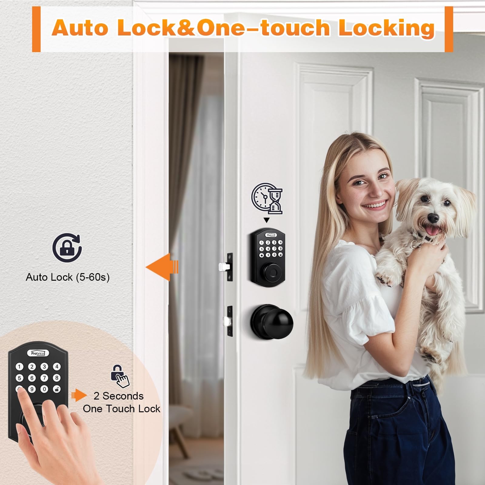 Probrico Smart Fingerprint Door Lock, Black