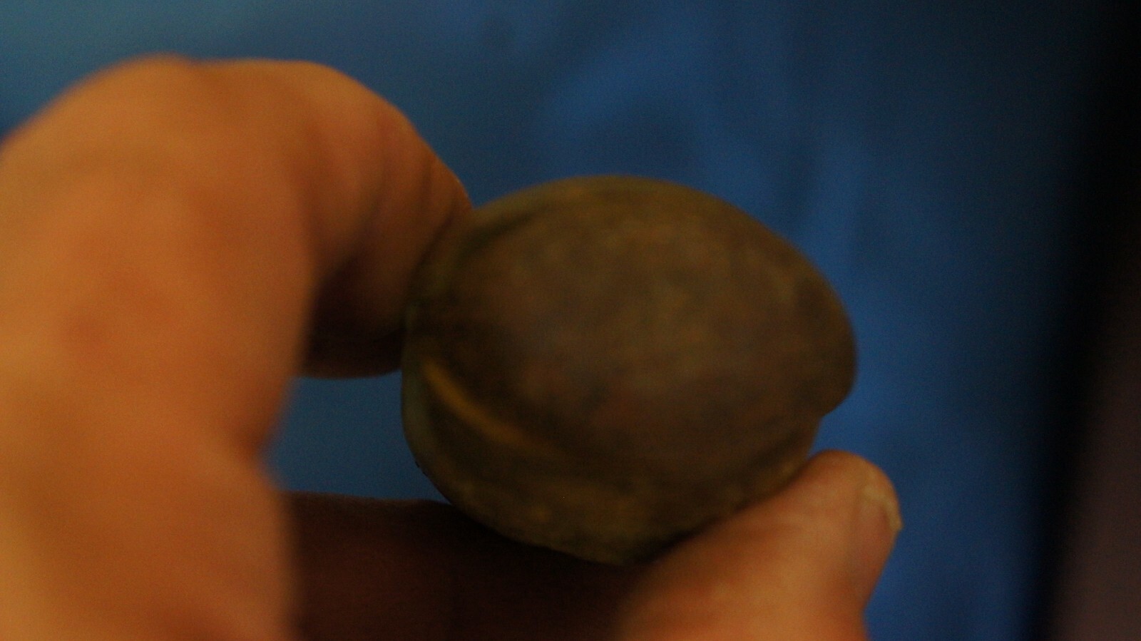 Vintage Irwin? Perfect Grip Split Wood Handles Screwdriver Round Shank UNMARKED