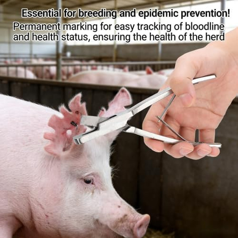 Livestock Ear Tag Plier, V Shaped Stainless Steel Pig Ear Notcher Animal Identif