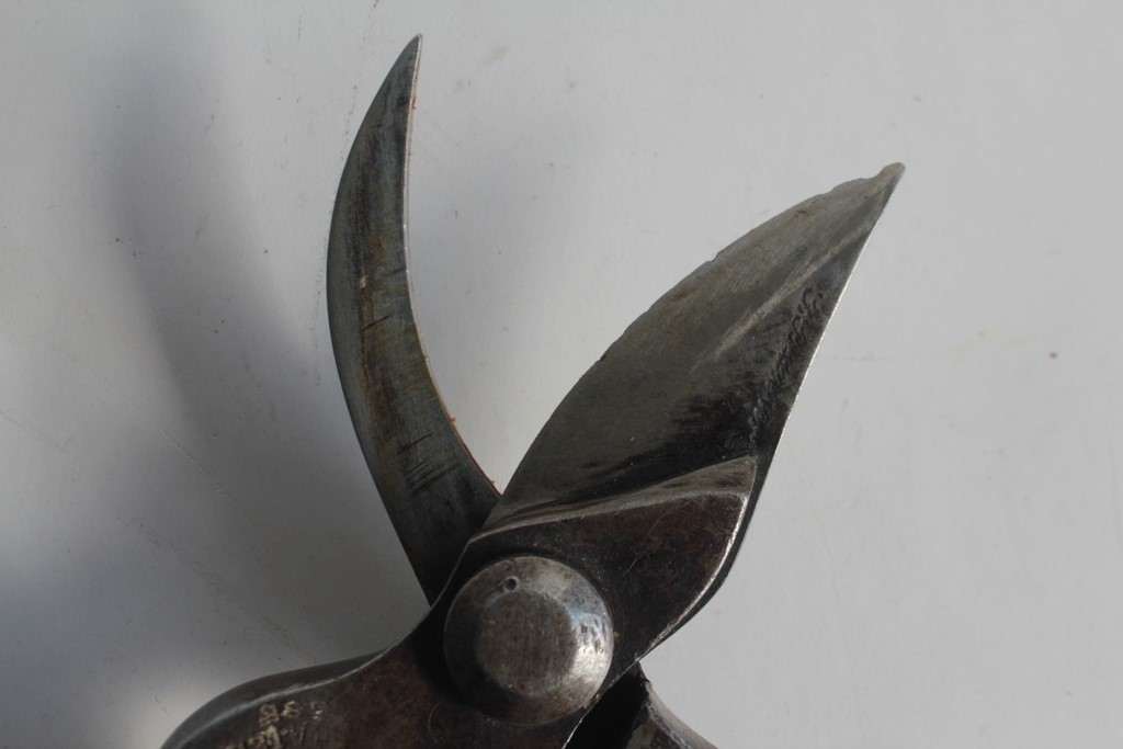 Antique Rieser pruning shears, Neuchâtel, Corcelles, Switzerland (74059)