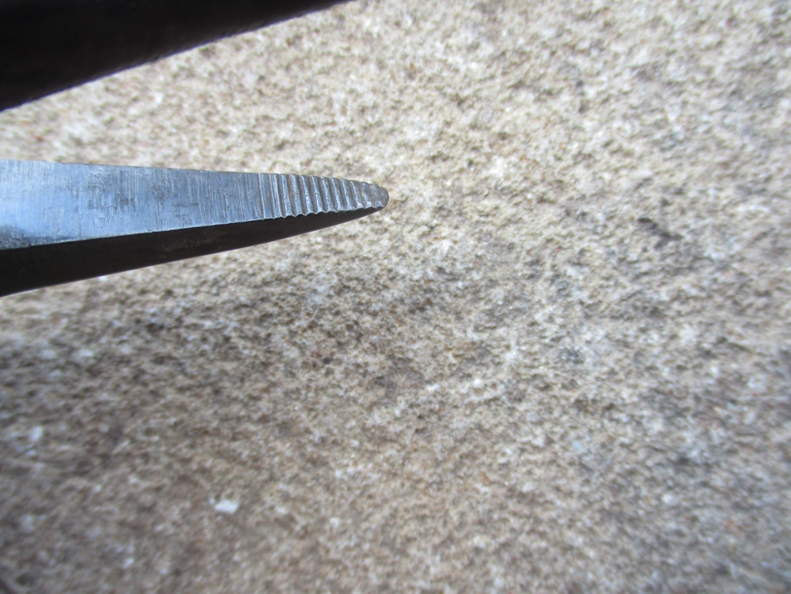CAMRON NEEDLE NOSE PLIERS 6″ CAMRON US NEEDLE NOSE MADE IN USA