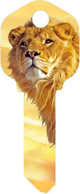 NEW Uncut Colorful BEAUTIFUL LION House Key Blank for KWIKSET KW1 KW10