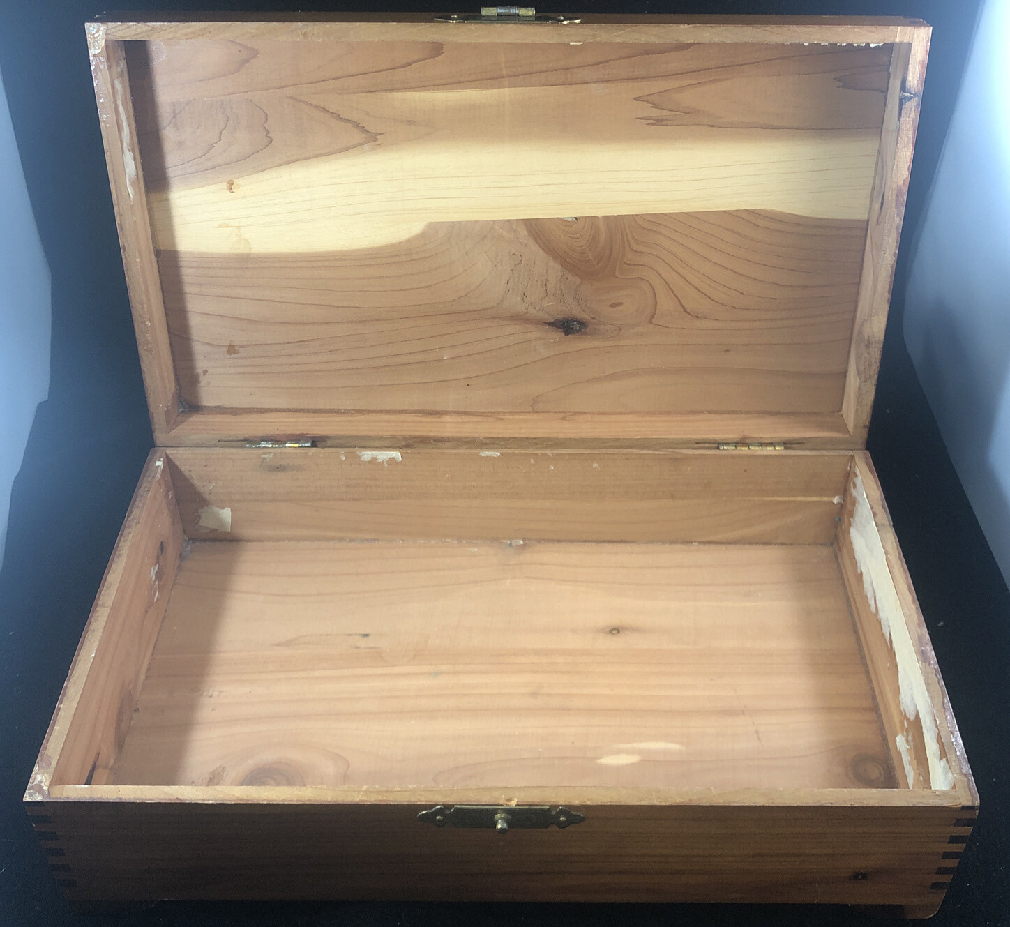 Vintage Pilliod Art Box Silhouette Dog Family 10”x6”x3.25” Dovetail Wood 👀 Desc