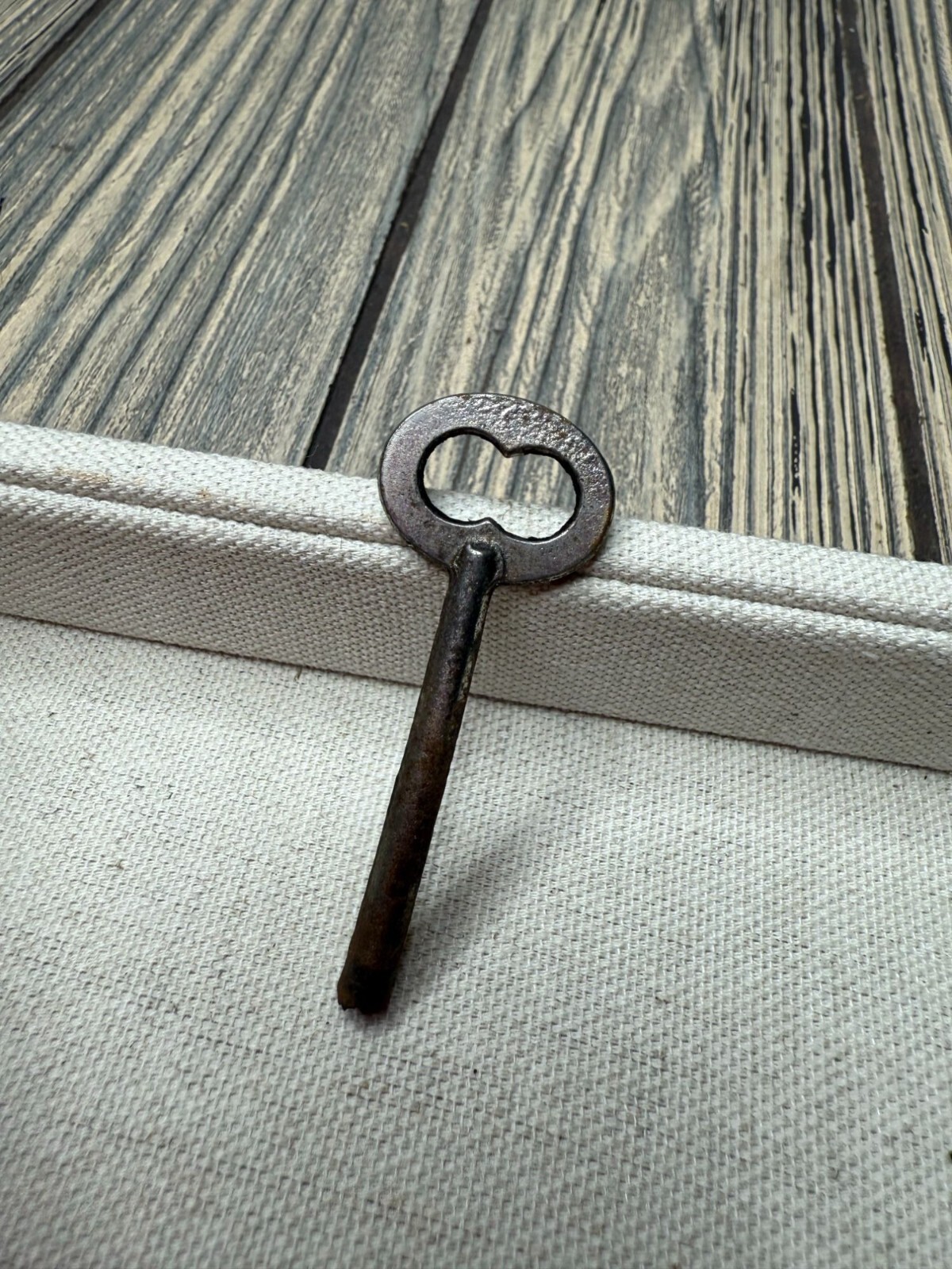 Vintage Rusted Skeleton Key For Collectors & Decorative Use