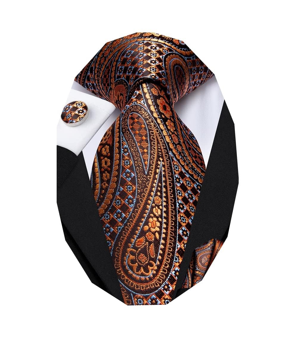 Dubulle Mens Paisley Floral Silk Tie for Men Striped Necktie and Pocket Square C