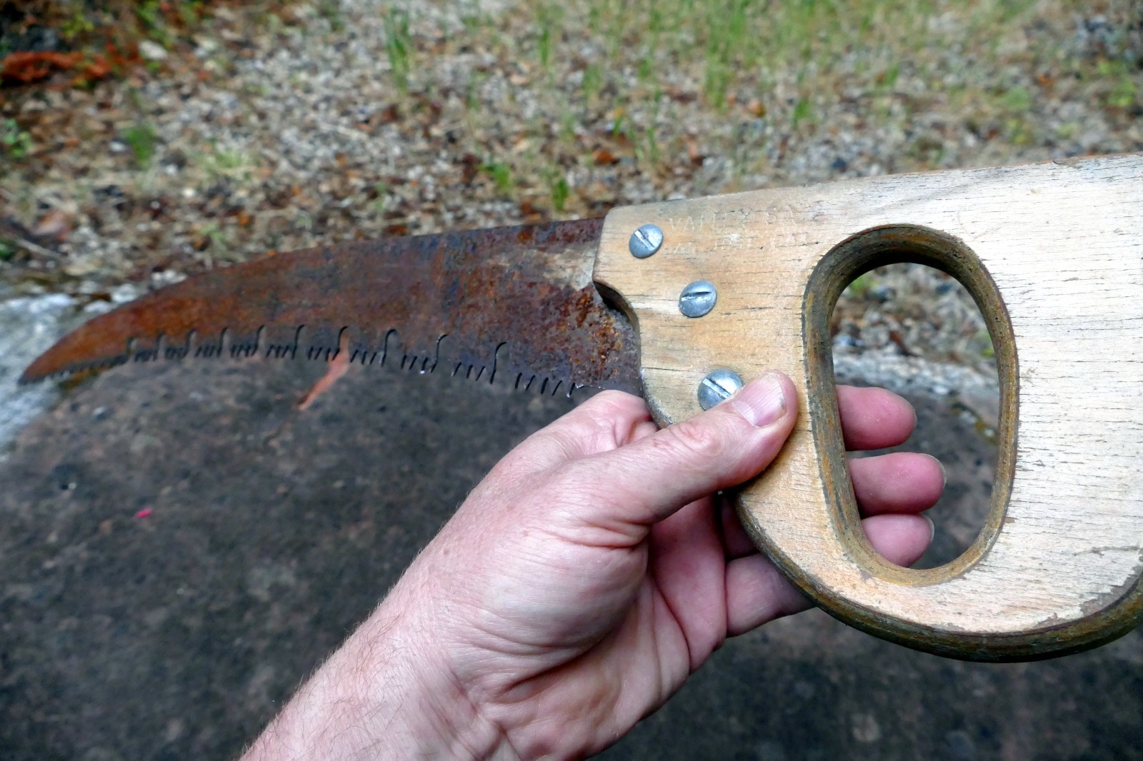 Pruning Valley Saw San Jose CA 20 Inches rusted antique