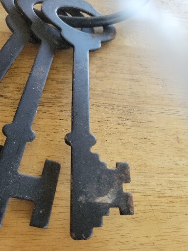 Vintage Wall Decor Flat Steel Skeleton Keys & Ring wall decor