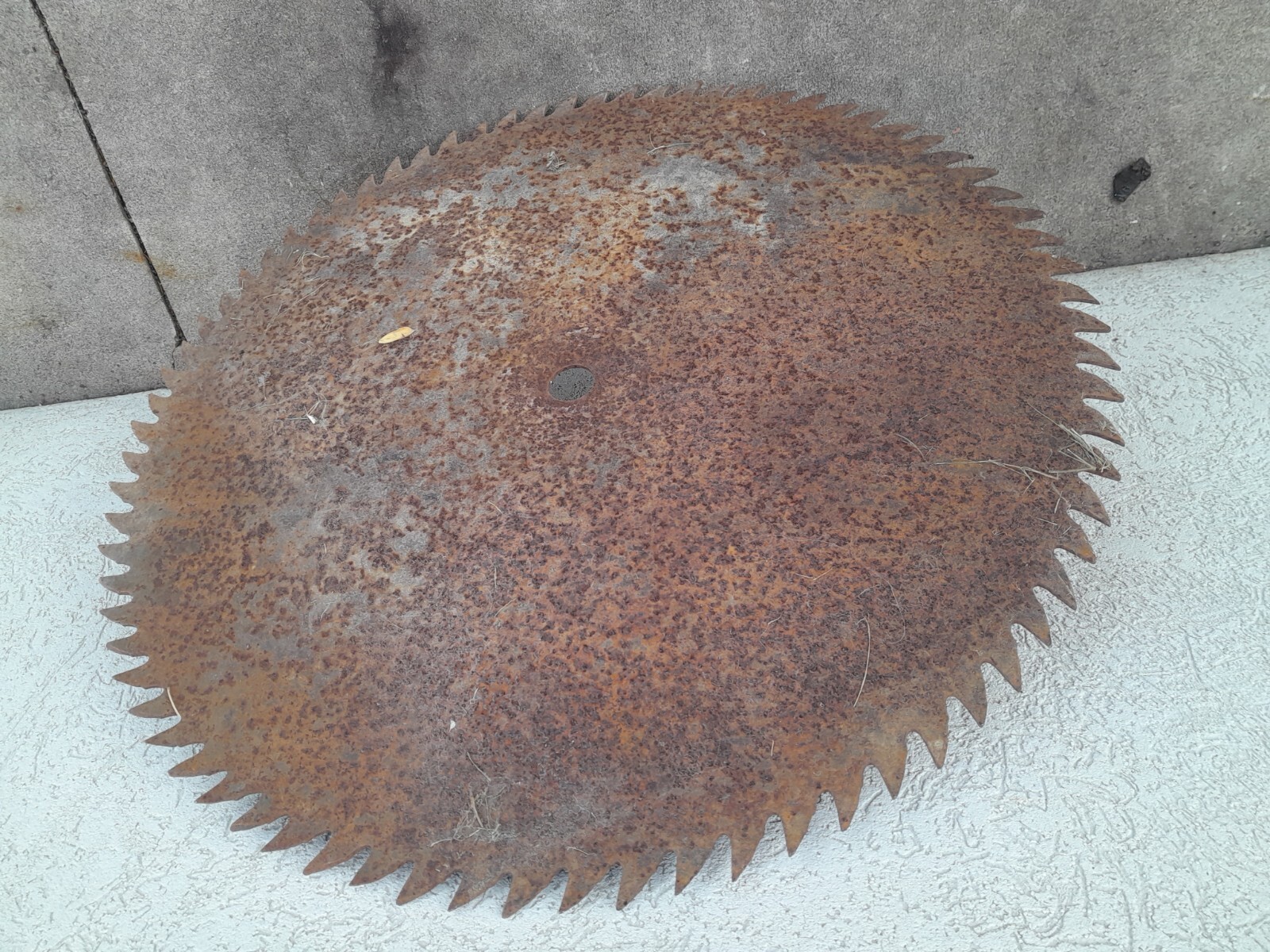 large sawmill blade