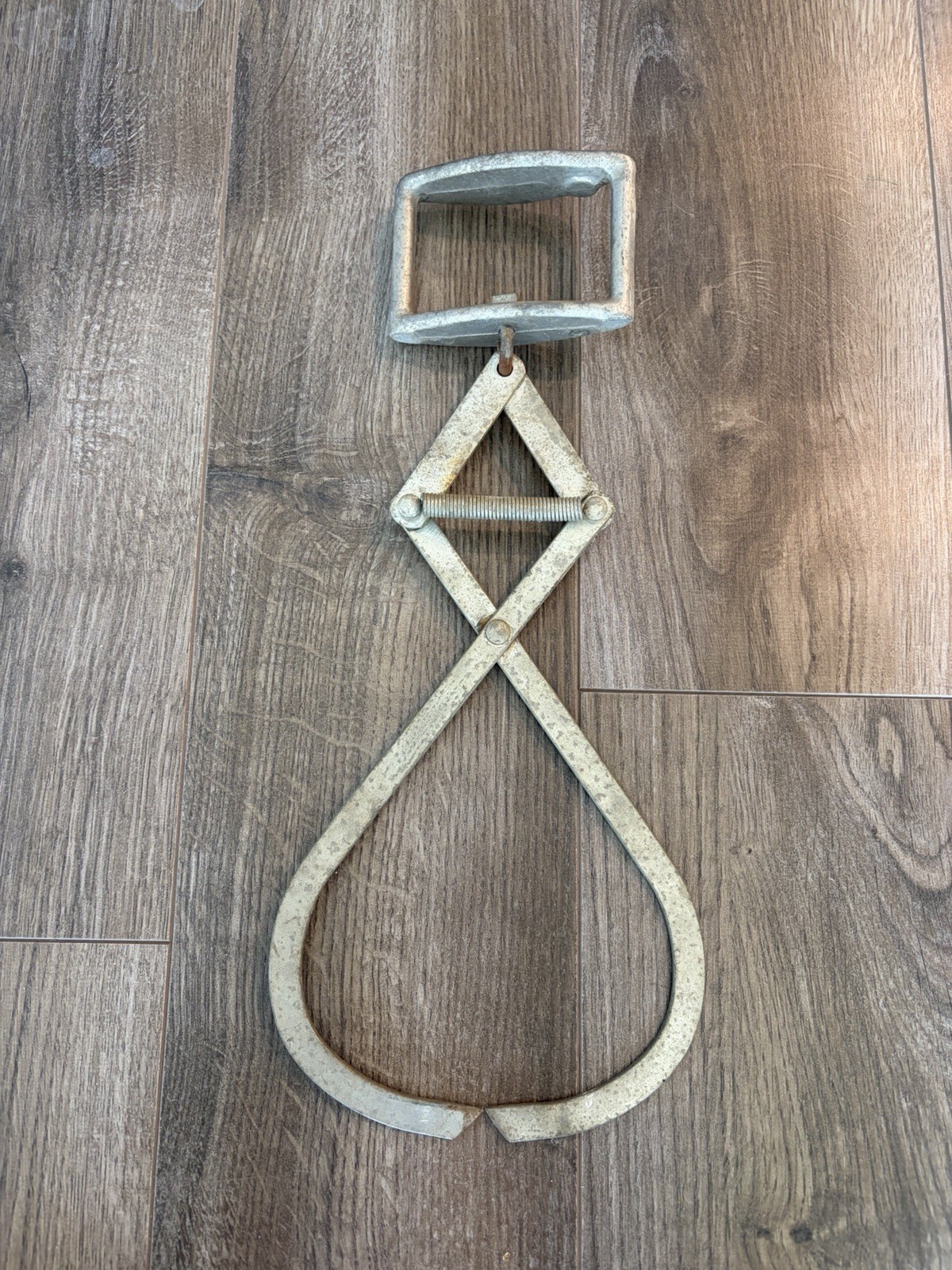 Ice Block Tongs/Hanger