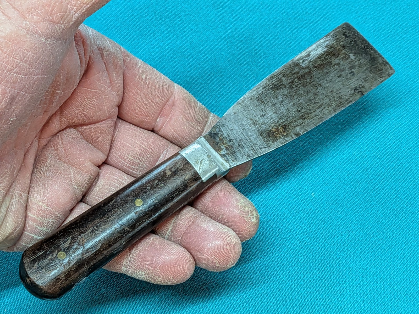 ATQ L.F.&C. 1-1/4″ Putty Knife No. 2101 Rosewood Scales Zinc Bolster – 1900-1915