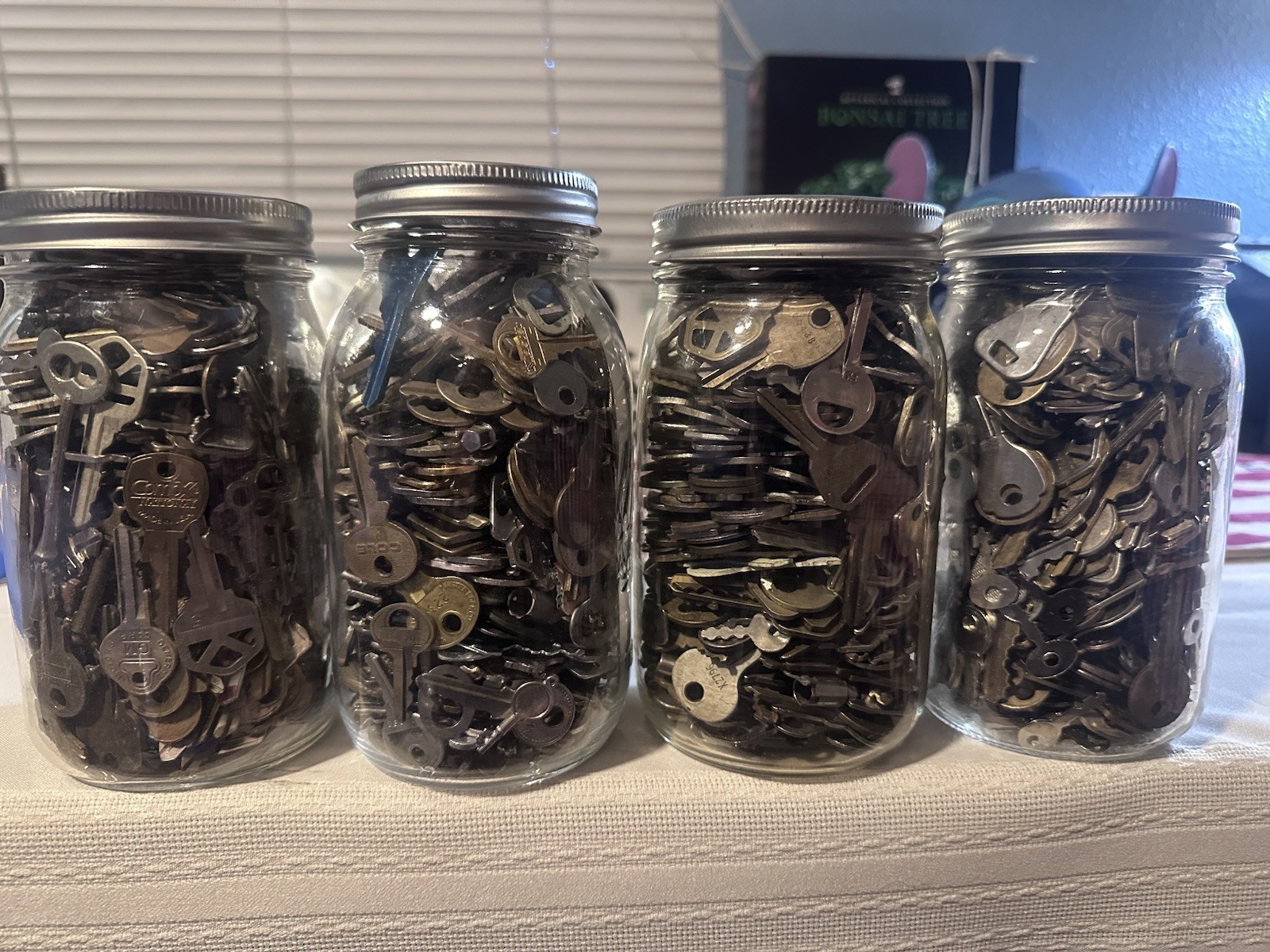 LOT Estate Keys 1 Gallon, 20+ Lbs, Skeleton House Clock Lock Brass Craft Salvage