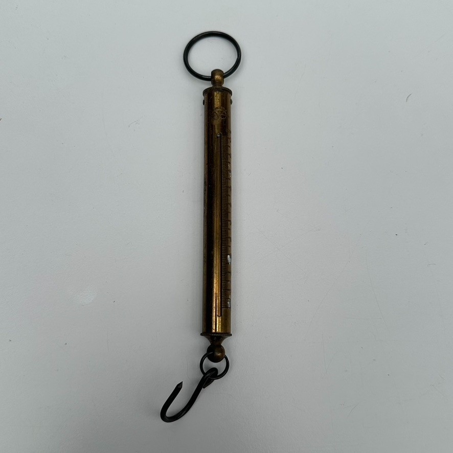 Vintage SALTER Brass Spring & Hook Balance Weighing Scales 0-1000 Grams 1kg