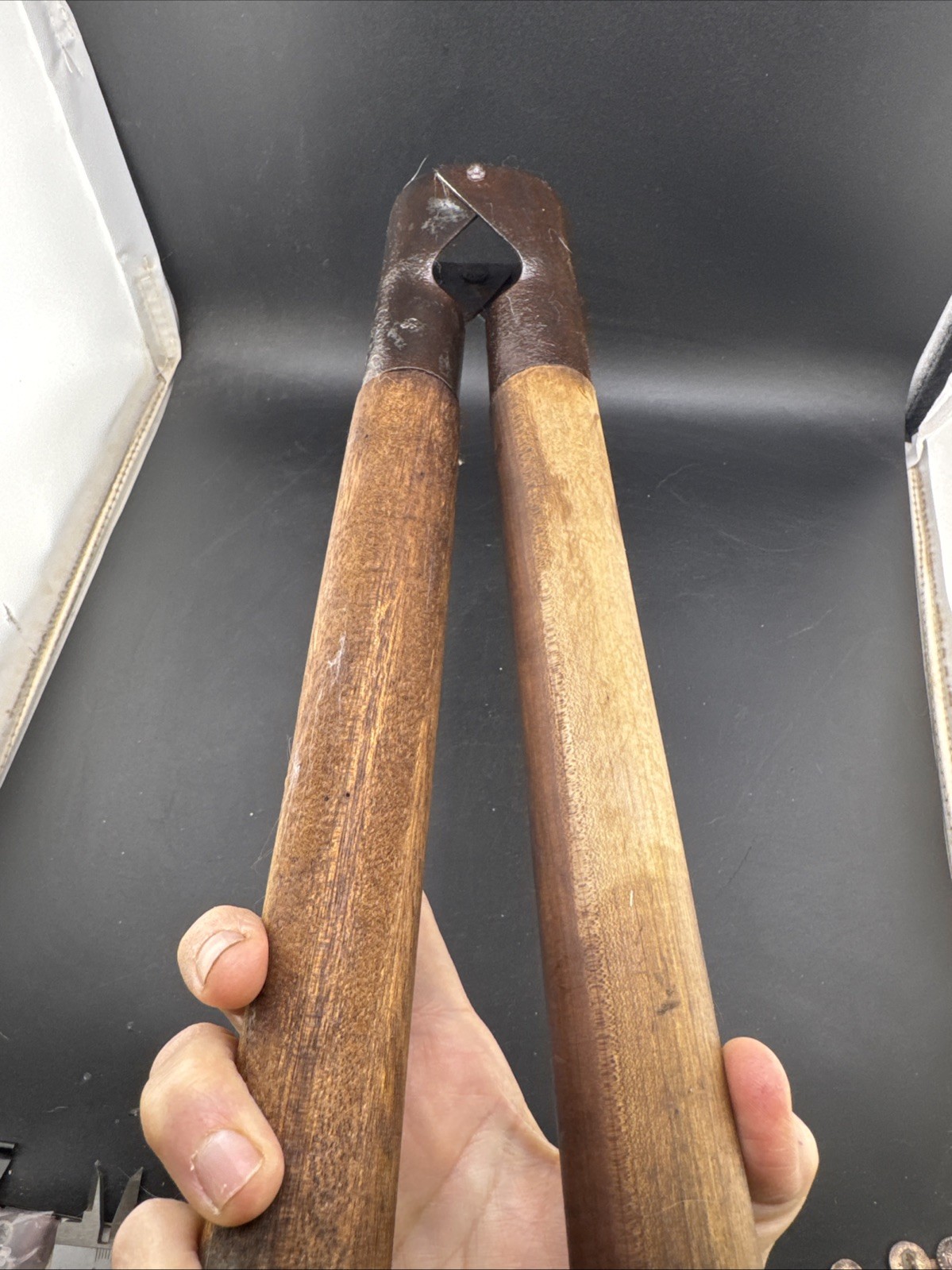 Vintage Bull Calf Dehorner Tool with Wooden Handles
