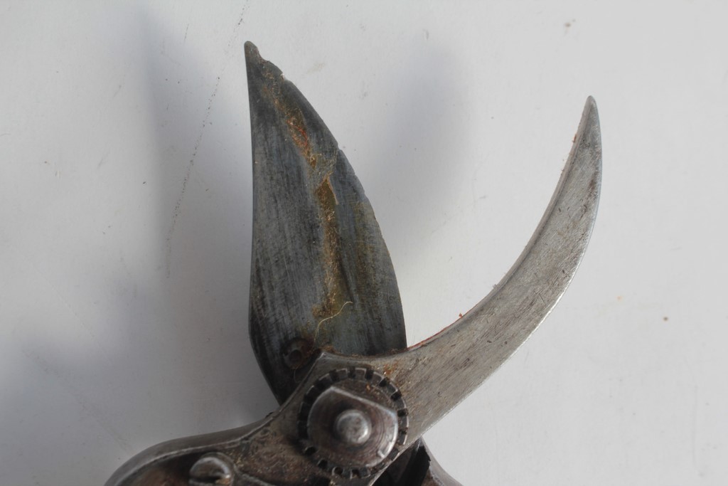 Antique Rieser pruning shears, Neuchâtel, Corcelles, Switzerland (74059)