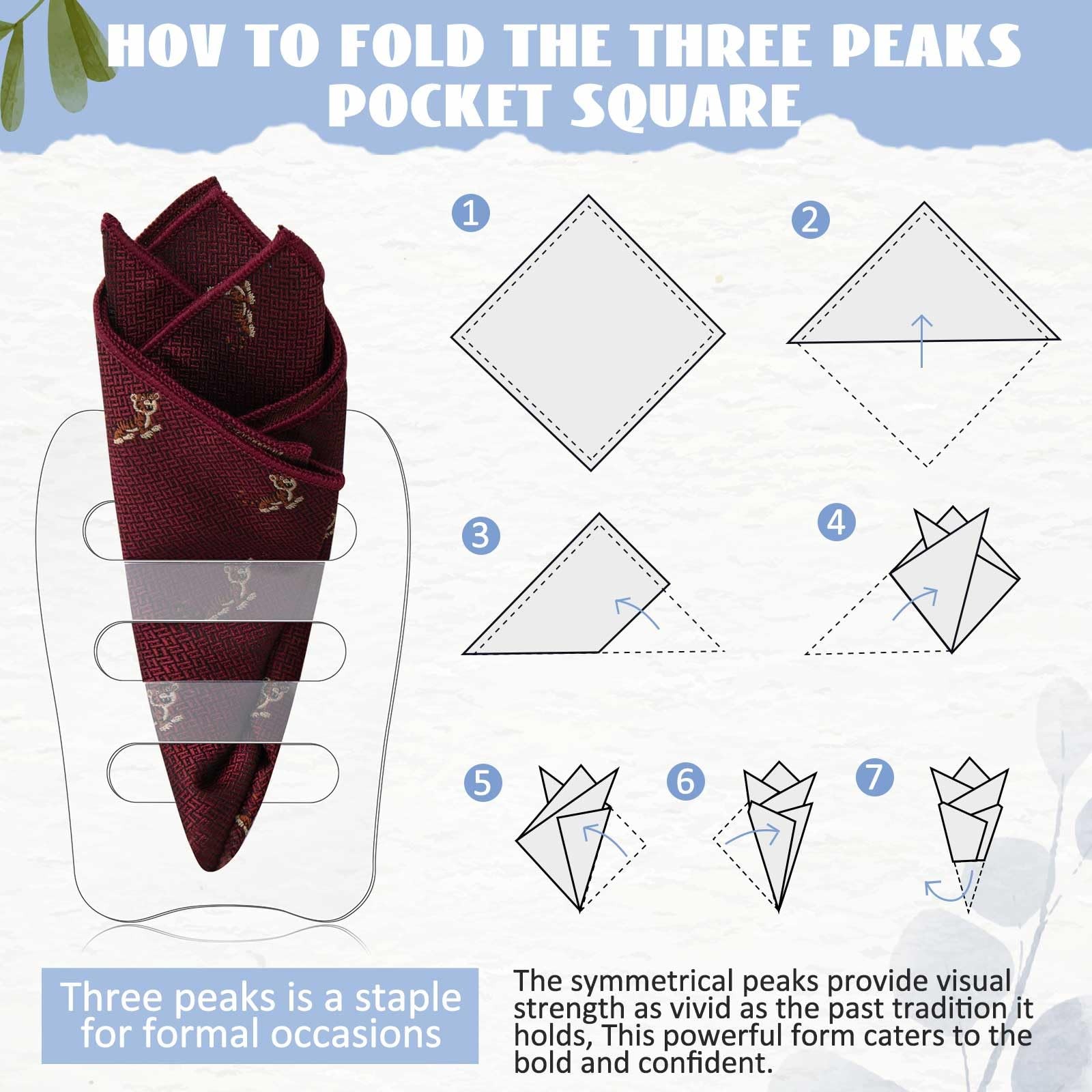 Blosssound Clear Invisible Pocket Square Holder for Men Black Pocket Square Orga