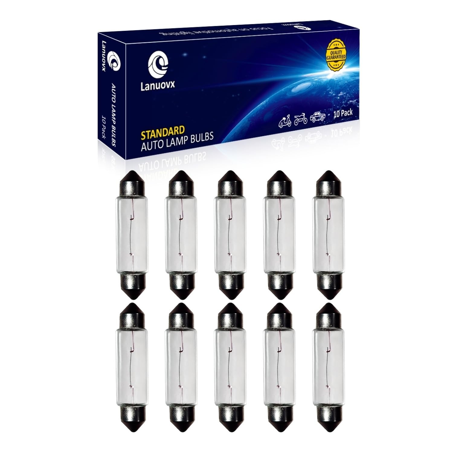 10 Pack Festoon Bulb 24V 5W Xenon Bulb Sv8.5-8 T3.25 10X44mm 24V5W
