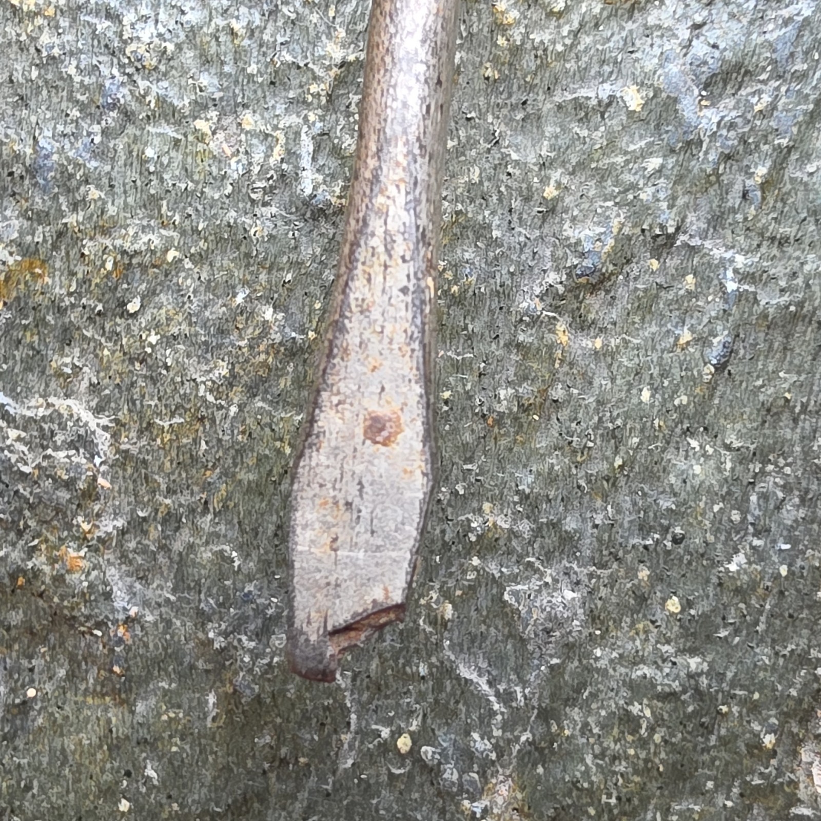 Vintage Original Wire Loop Handle Pocket Flathead Screwdriver Tool