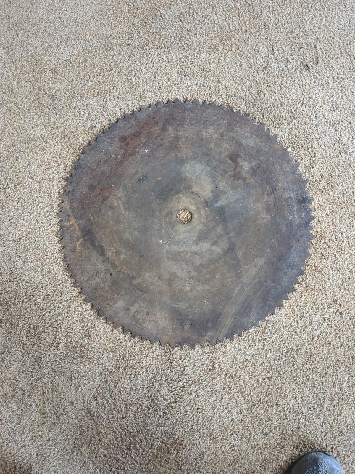 Antique Vintage 21.5-in Buzz Saw Sawmill Blade