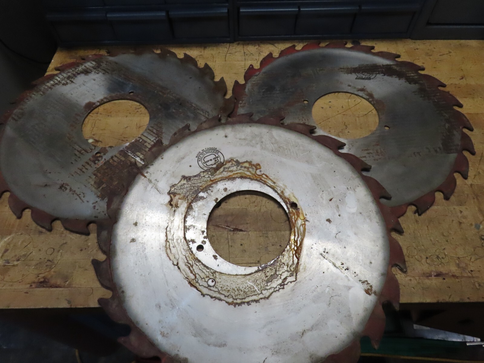 Vintage CanCar Chip-N-Saw 20″ sawmill saw blade 24 carbide teeth 5-1/2″ arbor