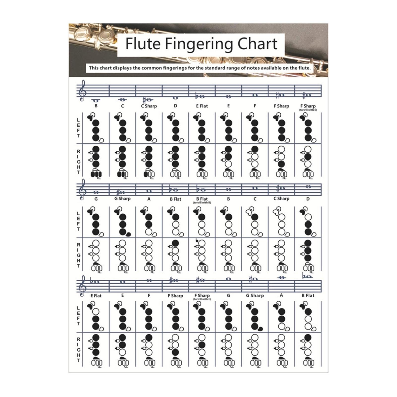 Flute Chord Chart, Durable Portable Fingering Practice White Chord Chart for