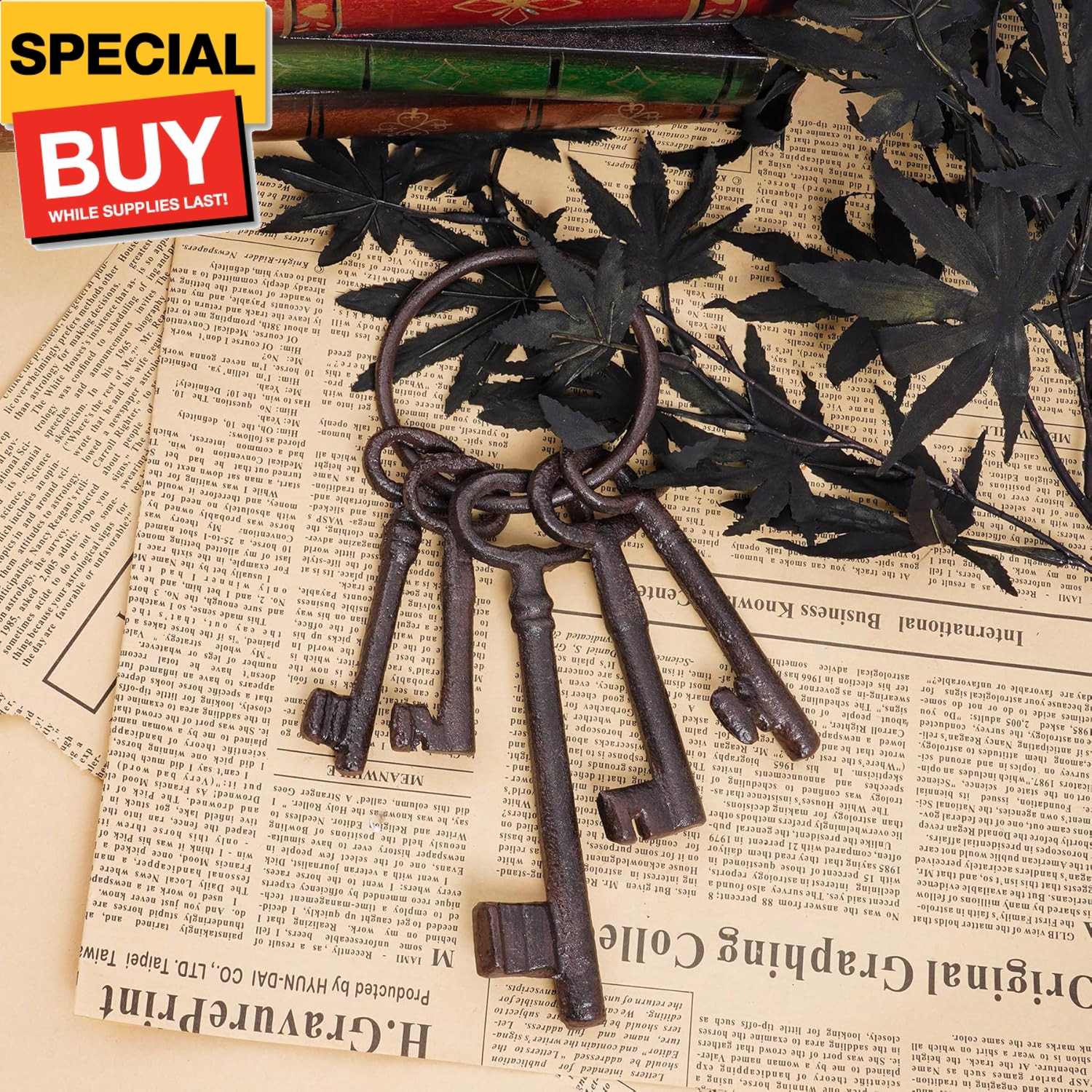 Large Skeleton Key Vintage Iron Antique Key for Pirate Decoration, Halloween Par