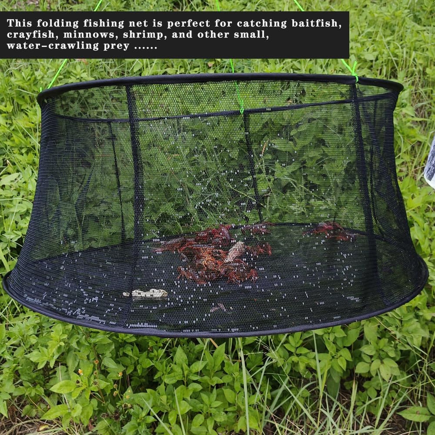 Drasry Fishing Net Trap for Bait Minnow Shrimp Crayfish Foldable Fish Crawdad…
