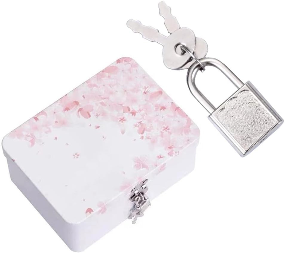 10 Mini Padlocks with Keys – Stylish Security for Jewelry, Diaries & Travel