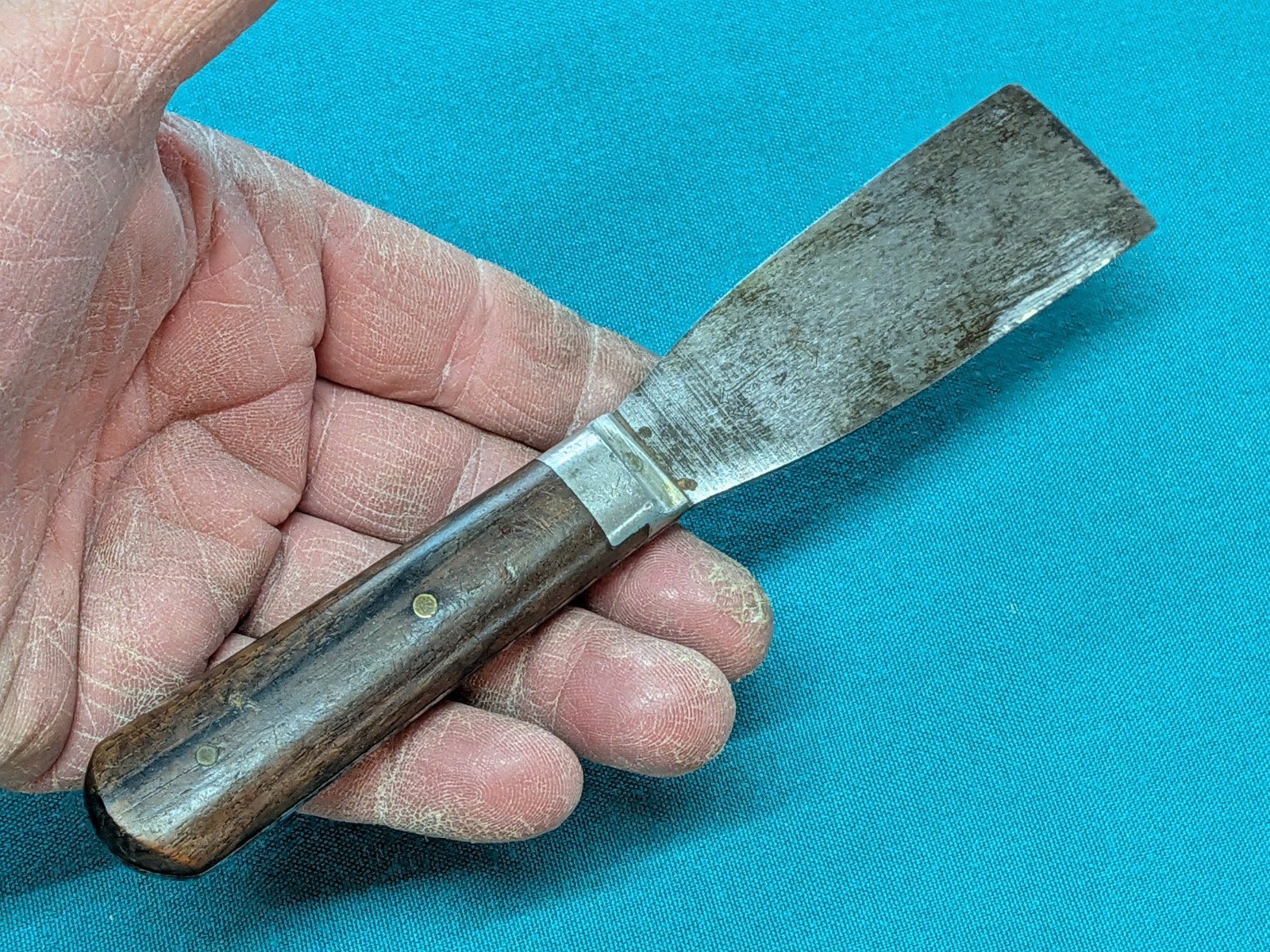 ATQ L.F.&C. 1-1/4″ Putty Knife No. 2101 Rosewood Scales Zinc Bolster – 1900-1915