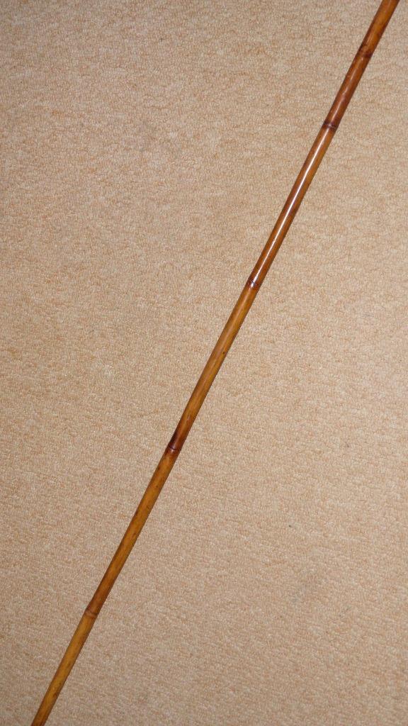 Victoria Era French Adrien Dubois Botanists Flower / Fruit Gatherer Gadget Cane