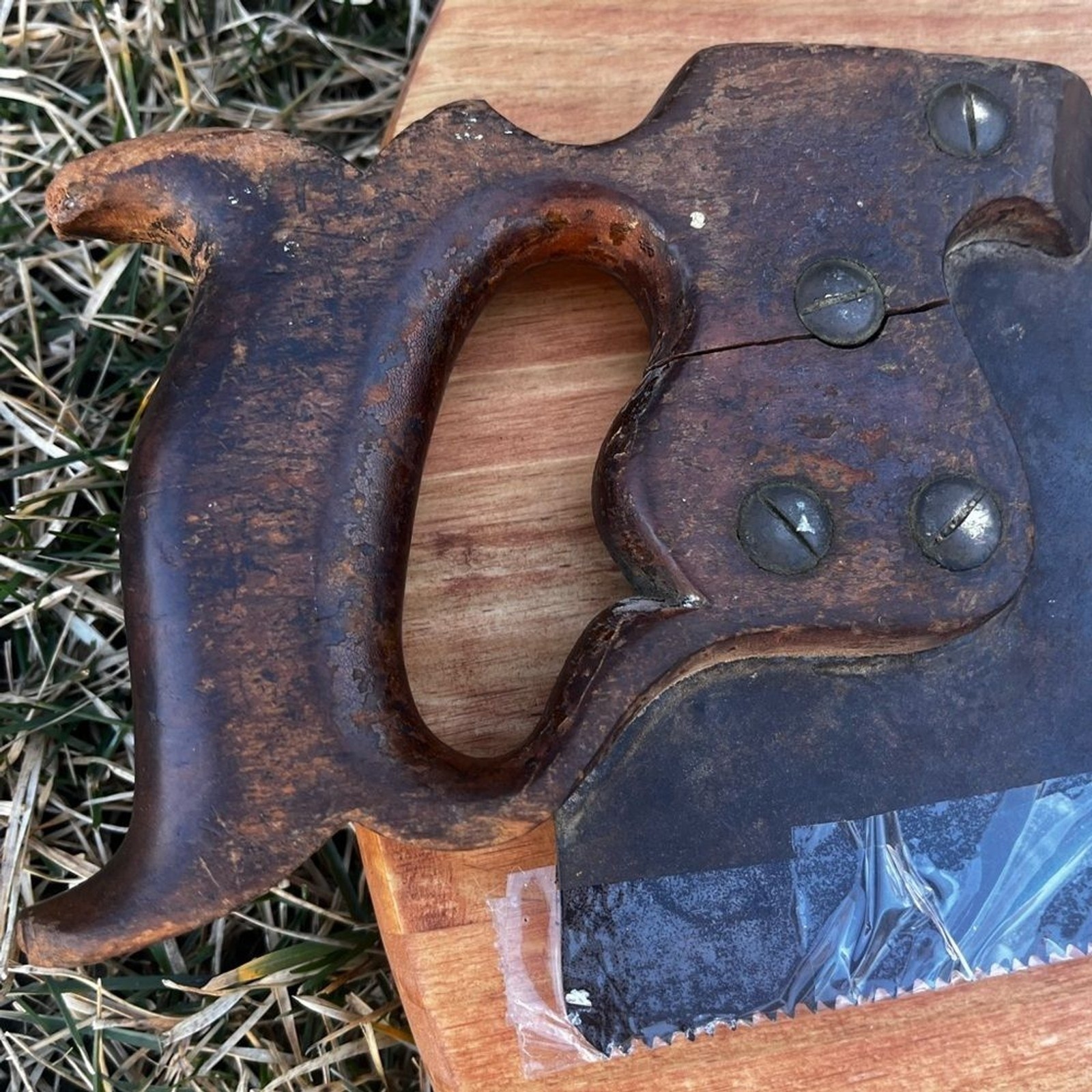 Vintage Henry Disston & Sons Philada Saw Hand Painted Fish Art Decor RARE