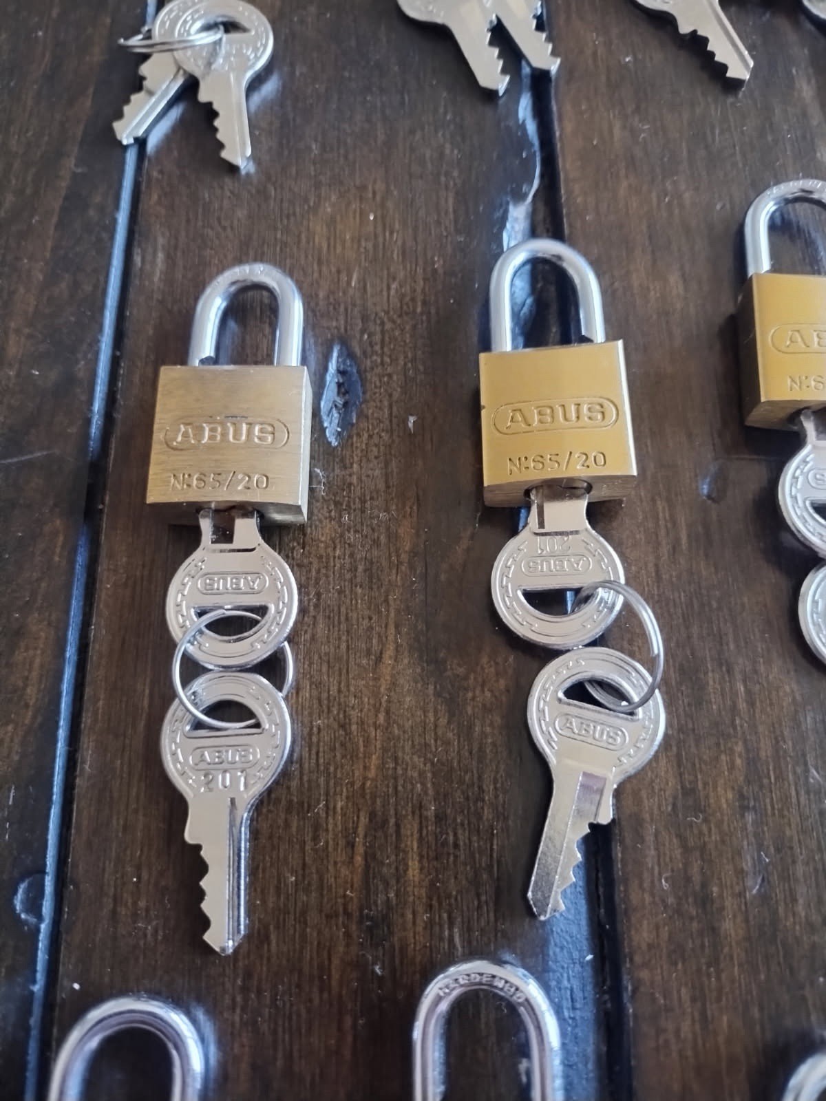 Abus pad locks comes with 51 total alike keys