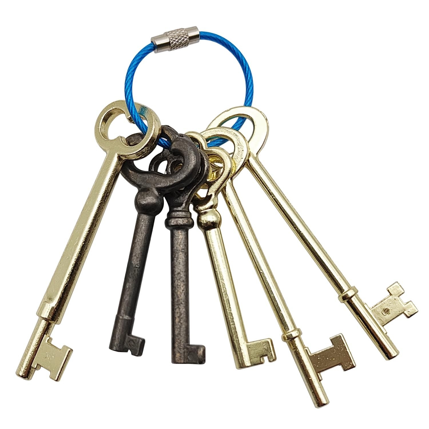 Skeleton Key Set, 6 Pcs Hollow Barrel Skeleton Keys with Wire Rope Keychain, …