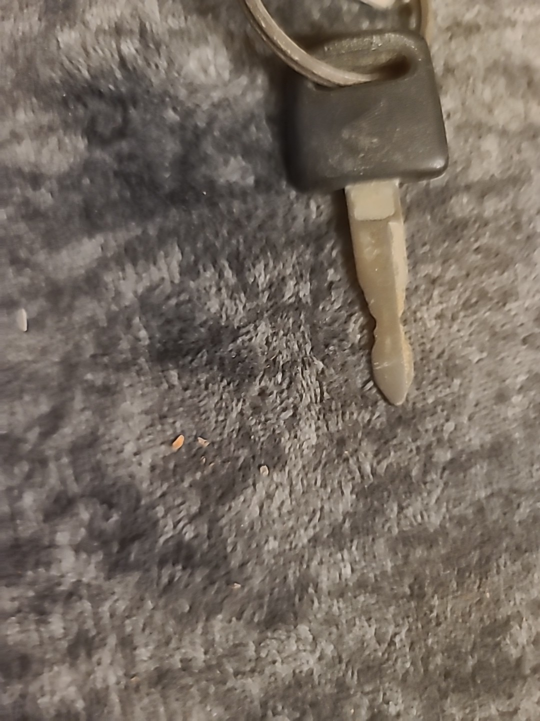 Various Keys