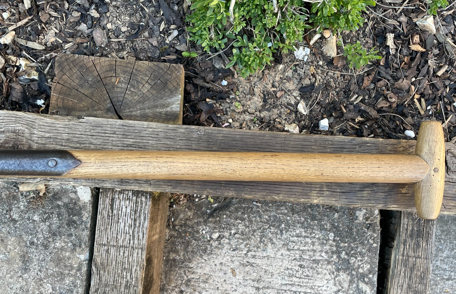 Vintage Garden T Handle 2 Prong Clay Fork Manure Fork Cultivating Farm Tool